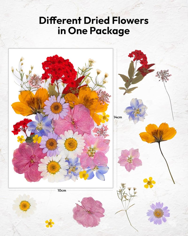 Resiners Dried Flowers, 100Pcs Pressed Flowers for Craft Real Natural Dried Flowers Dry Leaves Kit for DIY Making Crafts Resin Soap Candle Scrapbook Supplies Card Making Jewelry - Image 5